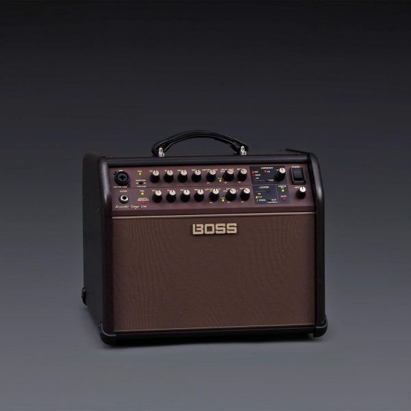 Fender ACS-LIVELT Acoustic Guitar Amplifier Combo-5