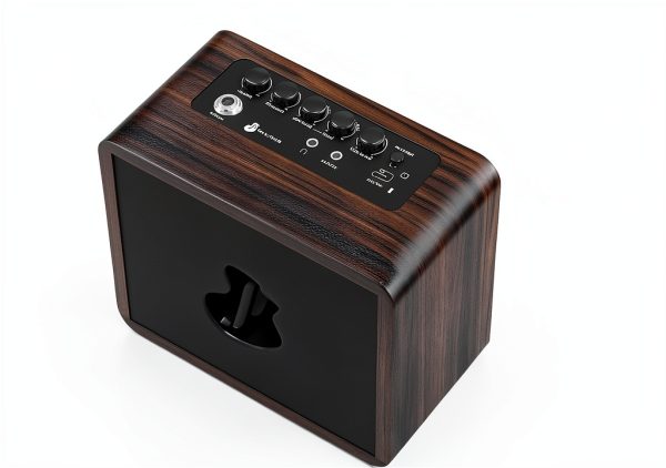 Guitar Amp GA-ONE Wood Portable 15W-4