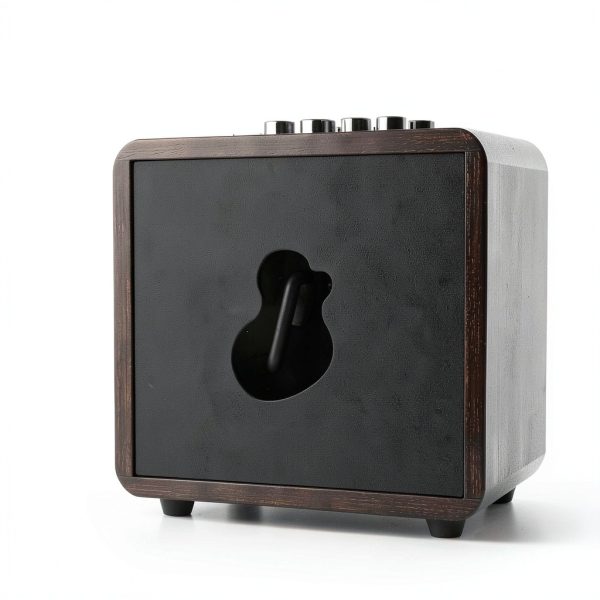 Guitar Amp GA-ONE Wood Portable 15W-1