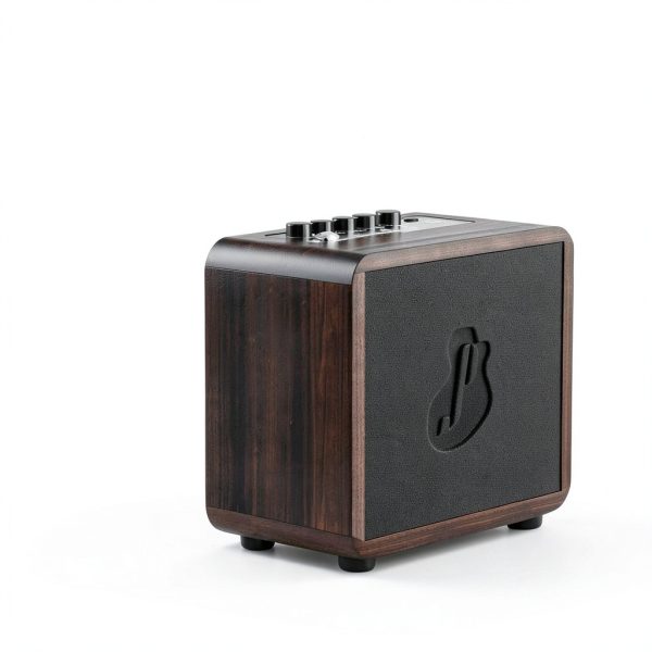 Guitar Amp GA-ONE Wood Portable 15W-3