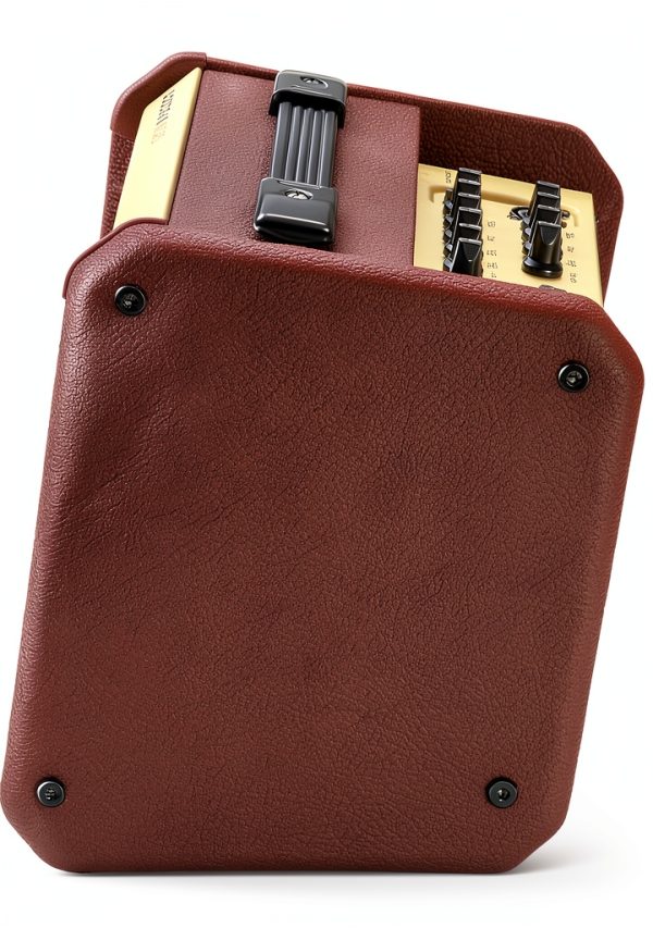 Fishman Acoustic Guitar Amp 40W Combo Amp with FX-6