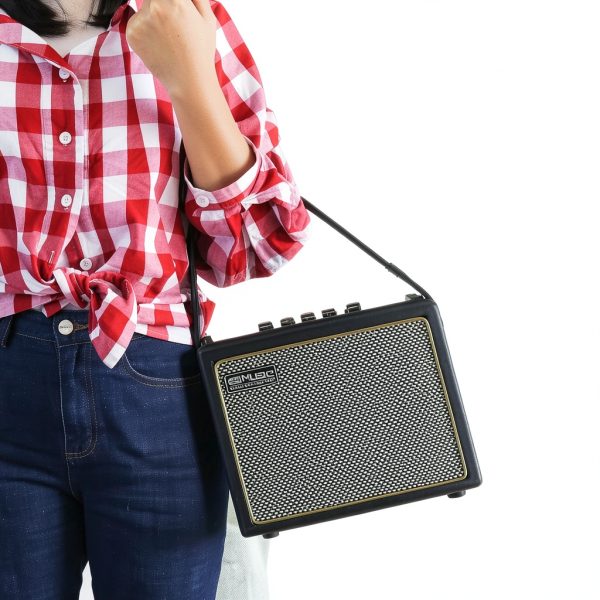 Acoustic Guitar Amplifier BP-MINI 30W Portable-6
