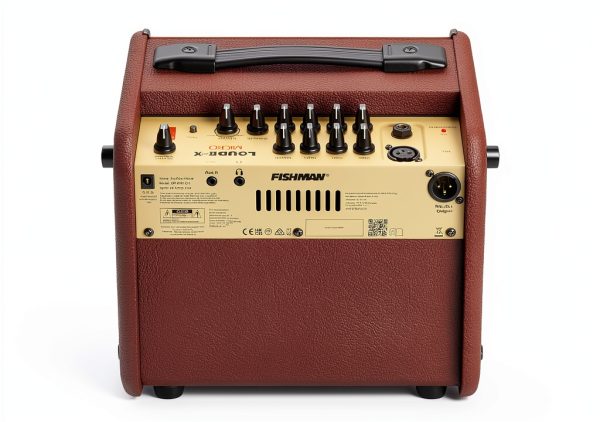 Fishman Acoustic Guitar Amp 40W Combo Amp with FX-3