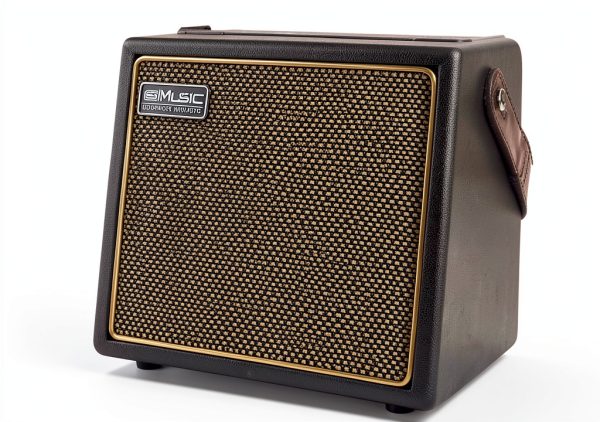 Acoustic Guitar Amplifier BP-MINI 30W Portable-1