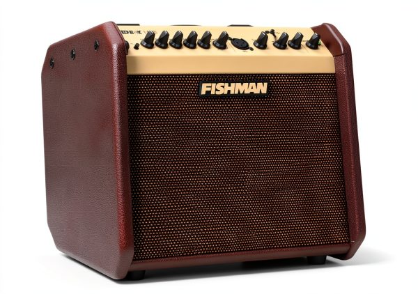 Fender PRO-LBT-500 Acoustic Guitar Amplifier Brown-0