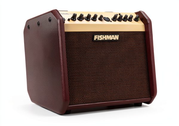 Fender PRO-LBT-500 Acoustic Guitar Amplifier Brown-1