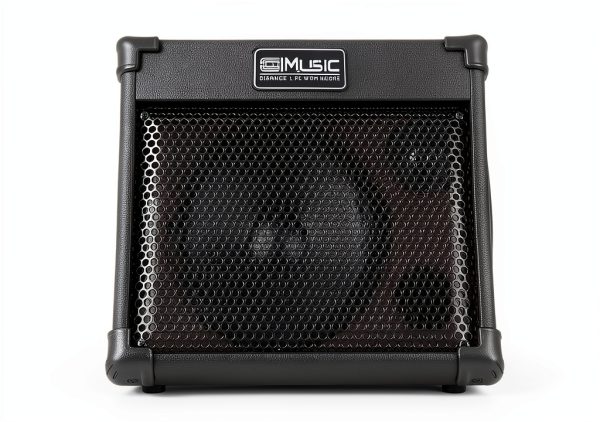 Acoustic Guitar Amplifier BP40 by Brand Name-1