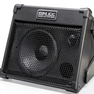Acoustic Guitar Amplifier BP40 by Brand Name-0