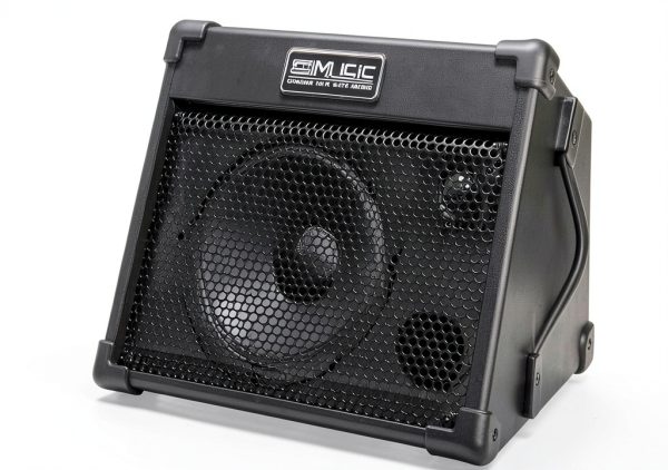 Acoustic Guitar Amplifier BP40 by Brand Name-0