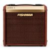 Fishman Acoustic Guitar Amp 40W Combo Amp with FX-0