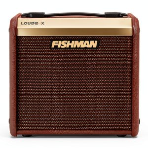 Fishman Acoustic Guitar Amp 40W Combo Amp with FX-0