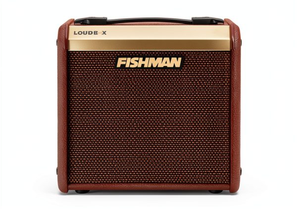 Fishman Acoustic Guitar Amp 40W Combo Amp with FX-0