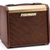 Fishman Acoustic Guitar Amp 40W Combo Amp with FX-1