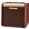 Fishman Acoustic Guitar Amp 40W Combo Amp with FX-2