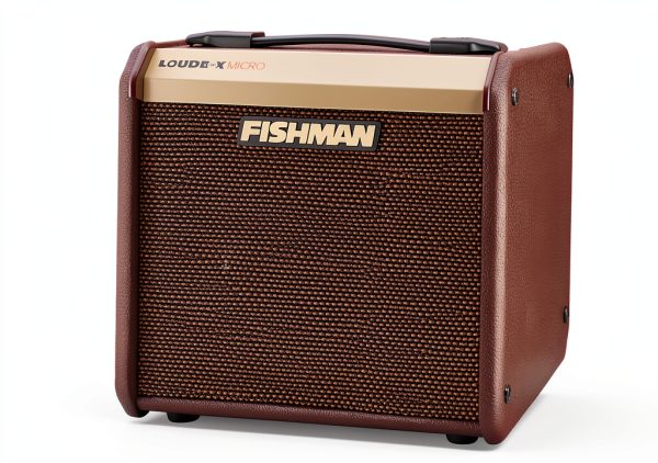 Fishman Acoustic Guitar Amp 40W Combo Amp with FX-2