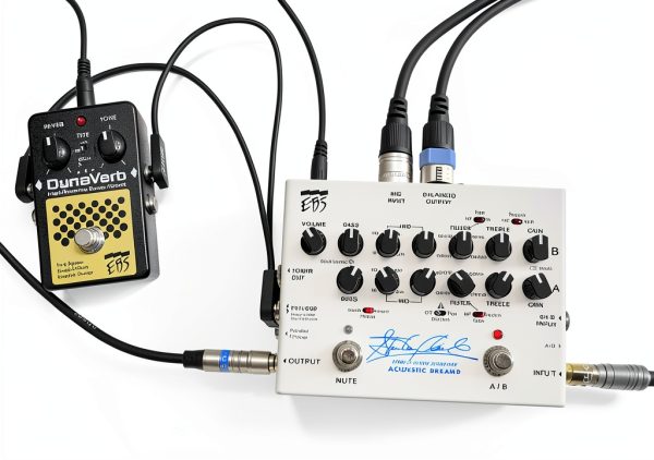 Acoustic Guitar Preamp Pedal EBS SCSP Metal White-3